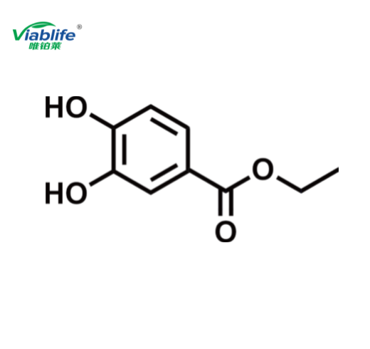 3,4-二羥基苯甲酸乙酯